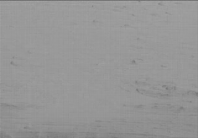 Sol 23: Mast Camera (Mastcam)