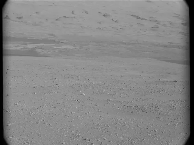 Sol 23: Mast Camera (Mastcam)