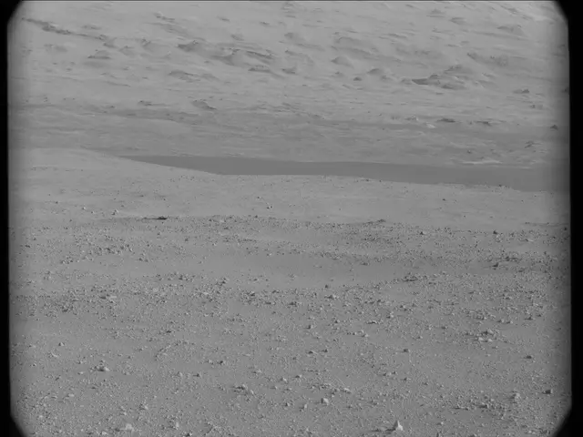 Sol 23: Mast Camera (Mastcam)