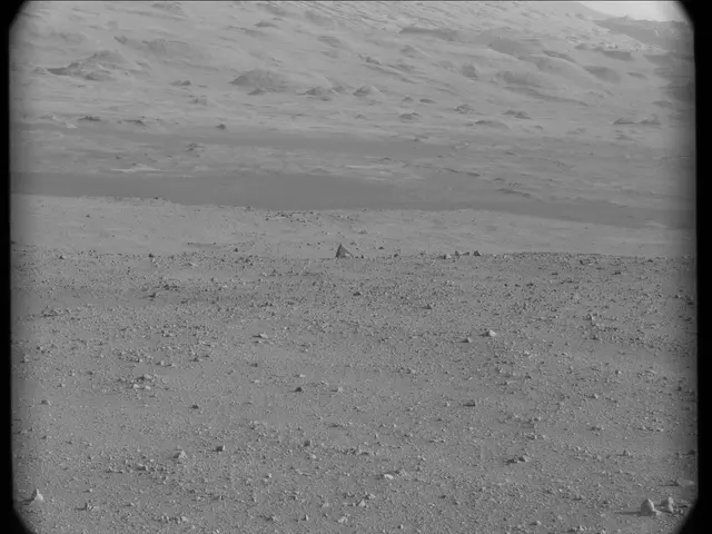 Sol 23: Mast Camera (Mastcam)