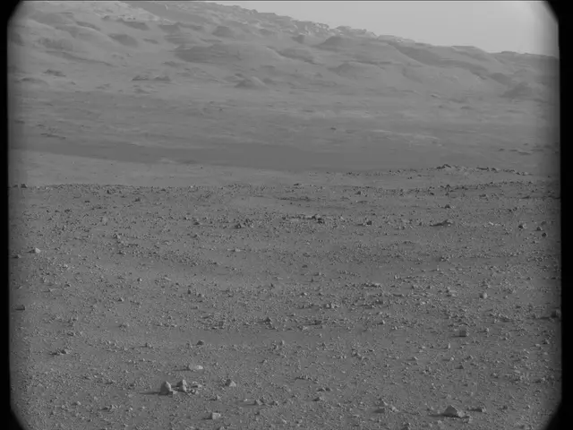 Sol 23: Mast Camera (Mastcam)