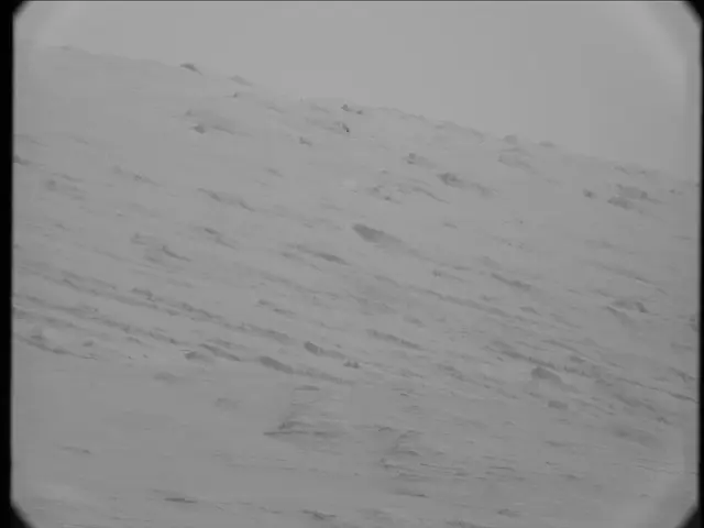 Sol 23: Mast Camera (Mastcam)