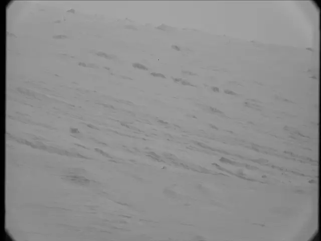 Sol 23: Mast Camera (Mastcam)