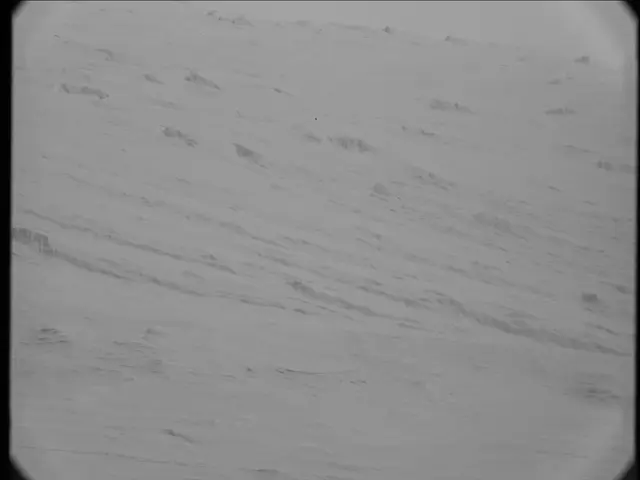 Sol 23: Mast Camera (Mastcam)