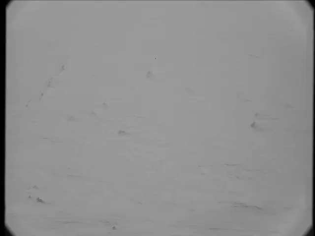 Sol 23: Mast Camera (Mastcam)