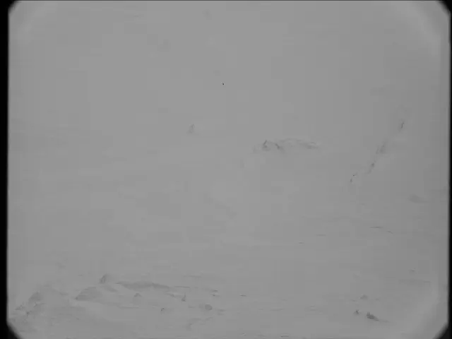 Sol 23: Mast Camera (Mastcam)