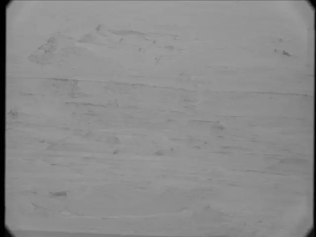 Sol 23: Mast Camera (Mastcam)