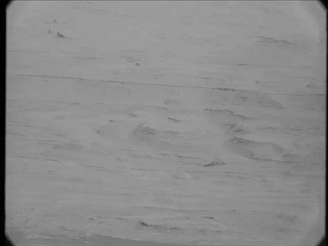 Sol 23: Mast Camera (Mastcam)