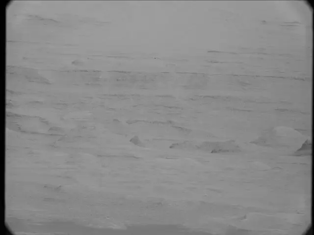 Sol 23: Mast Camera (Mastcam)