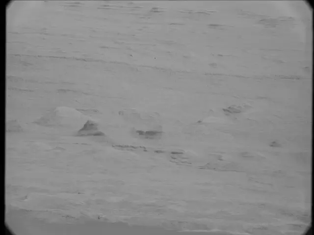 Sol 23: Mast Camera (Mastcam)