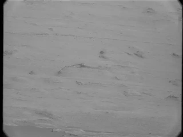 Sol 23: Mast Camera (Mastcam)