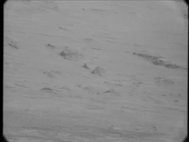 Sol 23: Mast Camera (Mastcam)