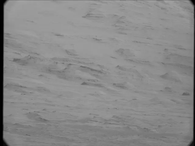 Sol 23: Mast Camera (Mastcam)