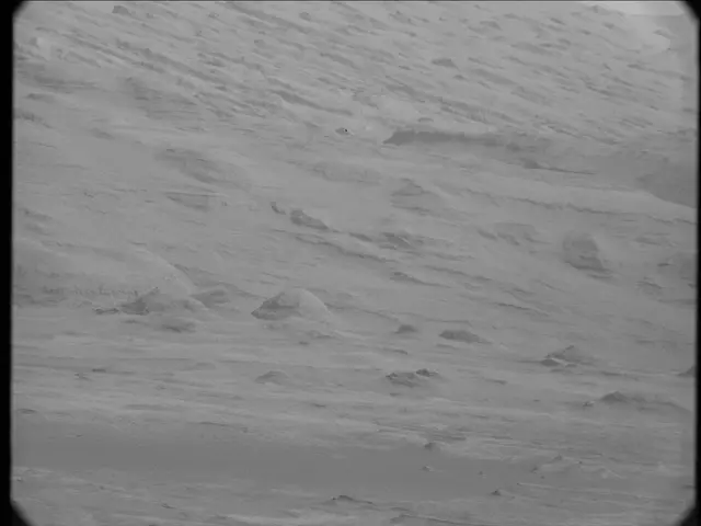 Sol 23: Mast Camera (Mastcam)