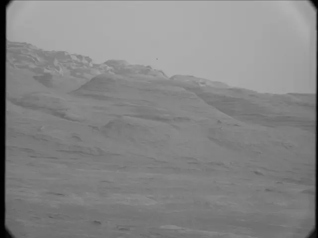 Sol 23: Mast Camera (Mastcam)