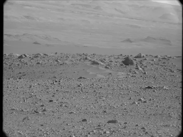 Sol 23: Mast Camera (Mastcam)