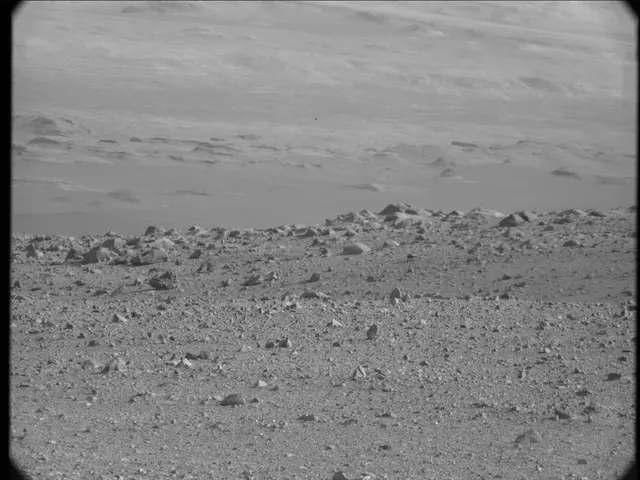 Sol 23: Mast Camera (Mastcam)