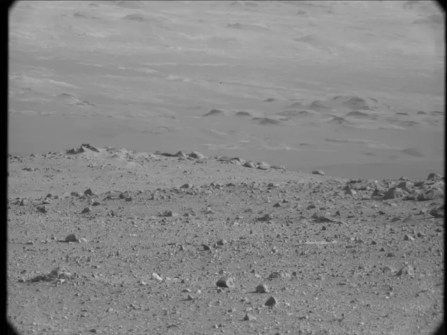 Sol 23: Mast Camera (Mastcam)