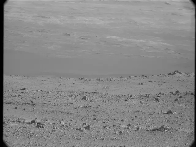 Sol 23: Mast Camera (Mastcam)