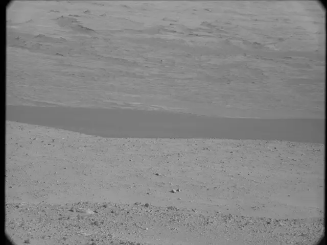 Sol 23: Mast Camera (Mastcam)
