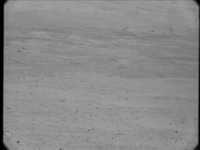 Sol 23: Mast Camera (Mastcam)