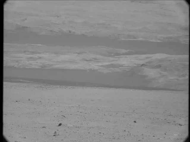 Sol 23: Mast Camera (Mastcam)