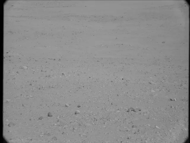 Sol 23: Mast Camera (Mastcam)