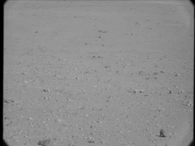 Sol 23: Mast Camera (Mastcam)
