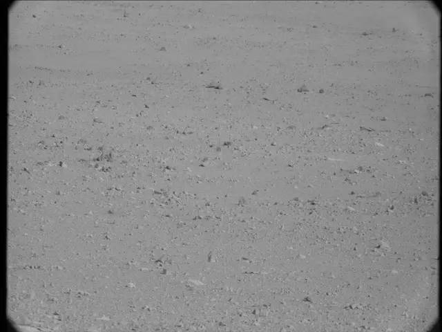 Sol 23: Mast Camera (Mastcam)