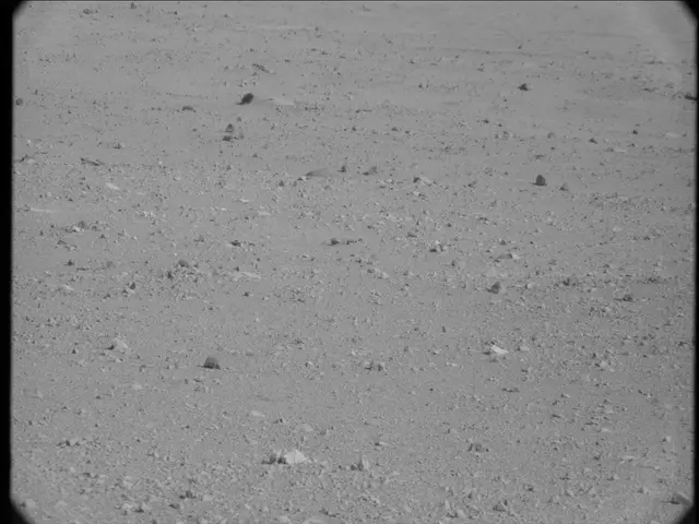Sol 23: Mast Camera (Mastcam)