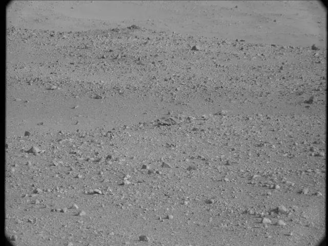 Sol 23: Mast Camera (Mastcam)