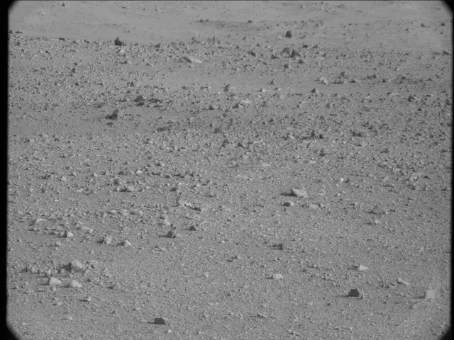 Sol 23: Mast Camera (Mastcam)