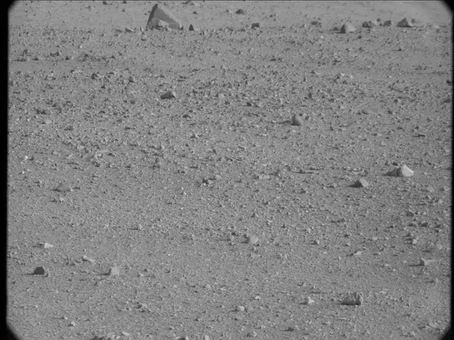 Sol 23: Mast Camera (Mastcam)