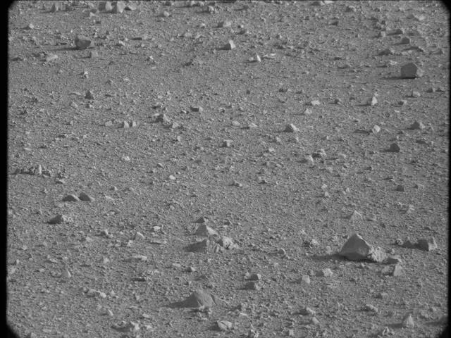 Sol 23: Mast Camera (Mastcam)