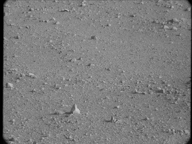 Sol 23: Mast Camera (Mastcam)