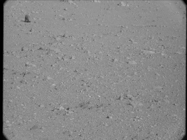 Sol 23: Mast Camera (Mastcam)