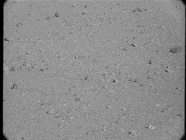 Sol 23: Mast Camera (Mastcam)