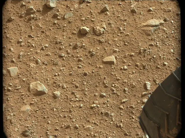 Sol 24: Mast Camera (Mastcam)