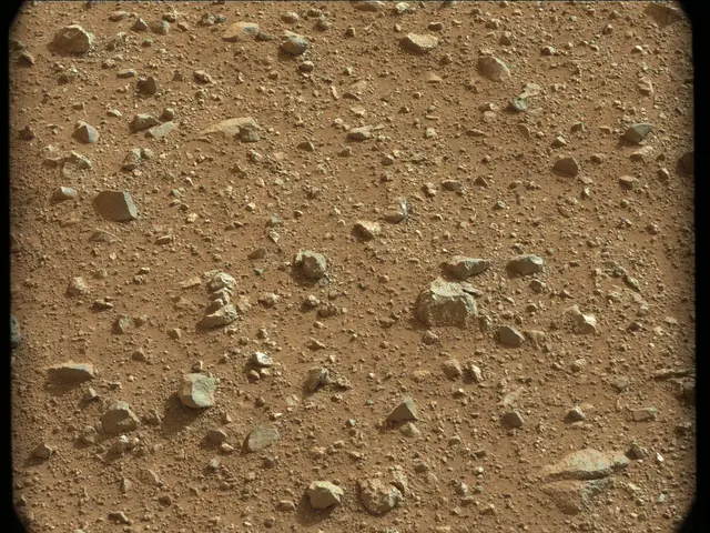 Sol 24: Mast Camera (Mastcam)