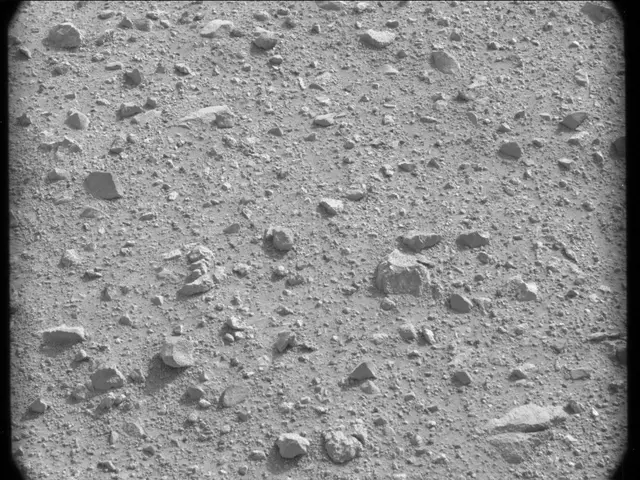 Sol 24: Mast Camera (Mastcam)