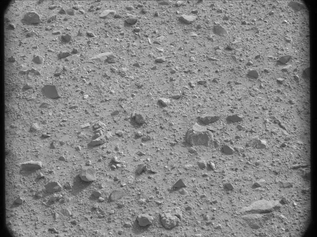 Sol 24: Mast Camera (Mastcam)
