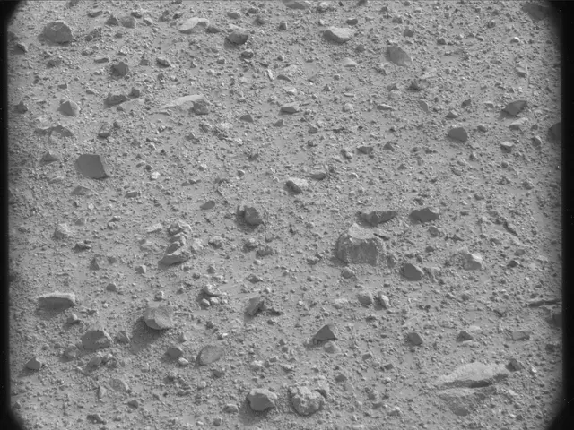 Sol 24: Mast Camera (Mastcam)