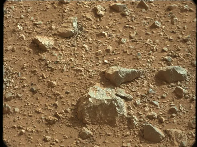 Sol 24: Mast Camera (Mastcam)