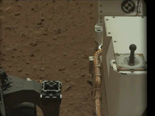 Sol 25: Mast Camera (Mastcam)