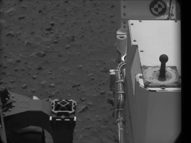 Sol 25: Mast Camera (Mastcam)