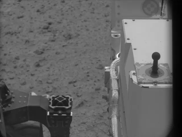 Sol 25: Mast Camera (Mastcam)