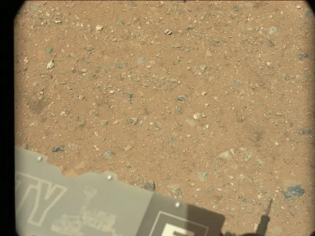 Sol 25: Mast Camera (Mastcam)