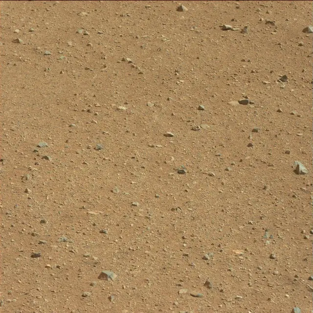 Sol 25: Mast Camera (Mastcam)
