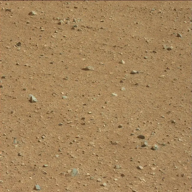 Sol 25: Mast Camera (Mastcam)