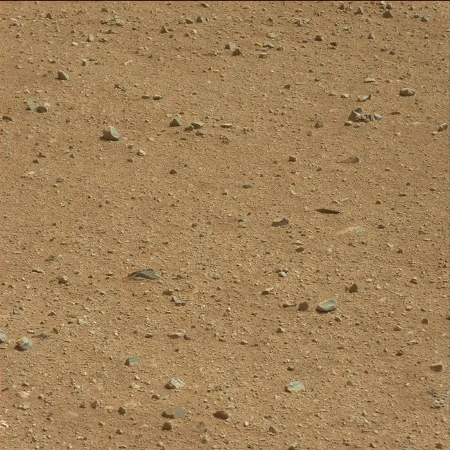 Sol 25: Mast Camera (Mastcam)